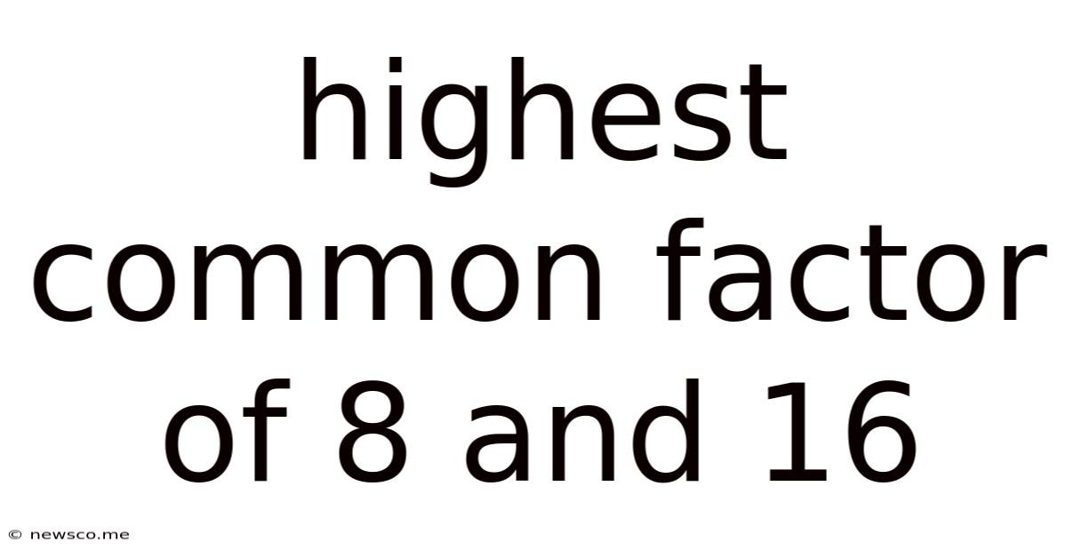 Highest Common Factor Of 8 And 16