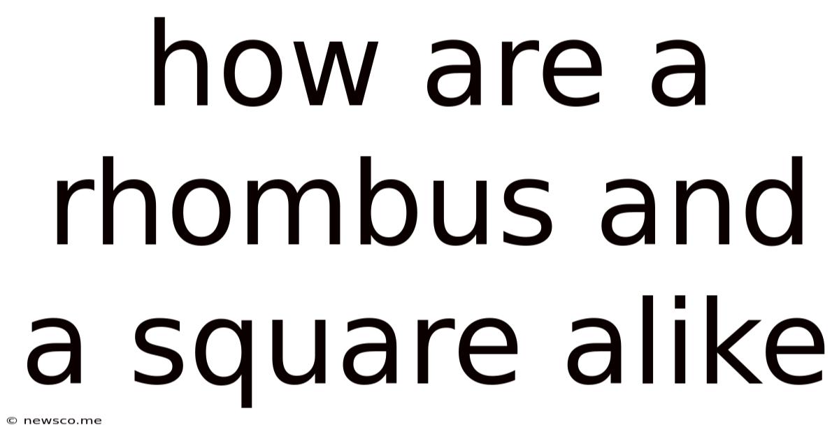 How Are A Rhombus And A Square Alike