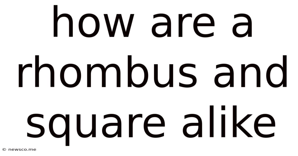 How Are A Rhombus And Square Alike