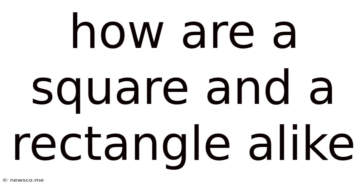 How Are A Square And A Rectangle Alike