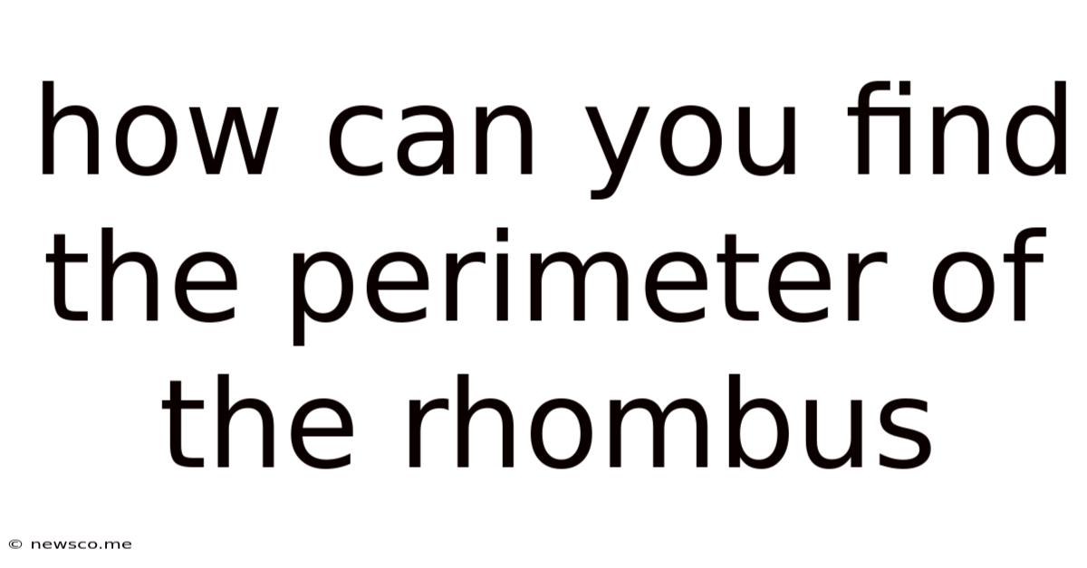 How Can You Find The Perimeter Of The Rhombus