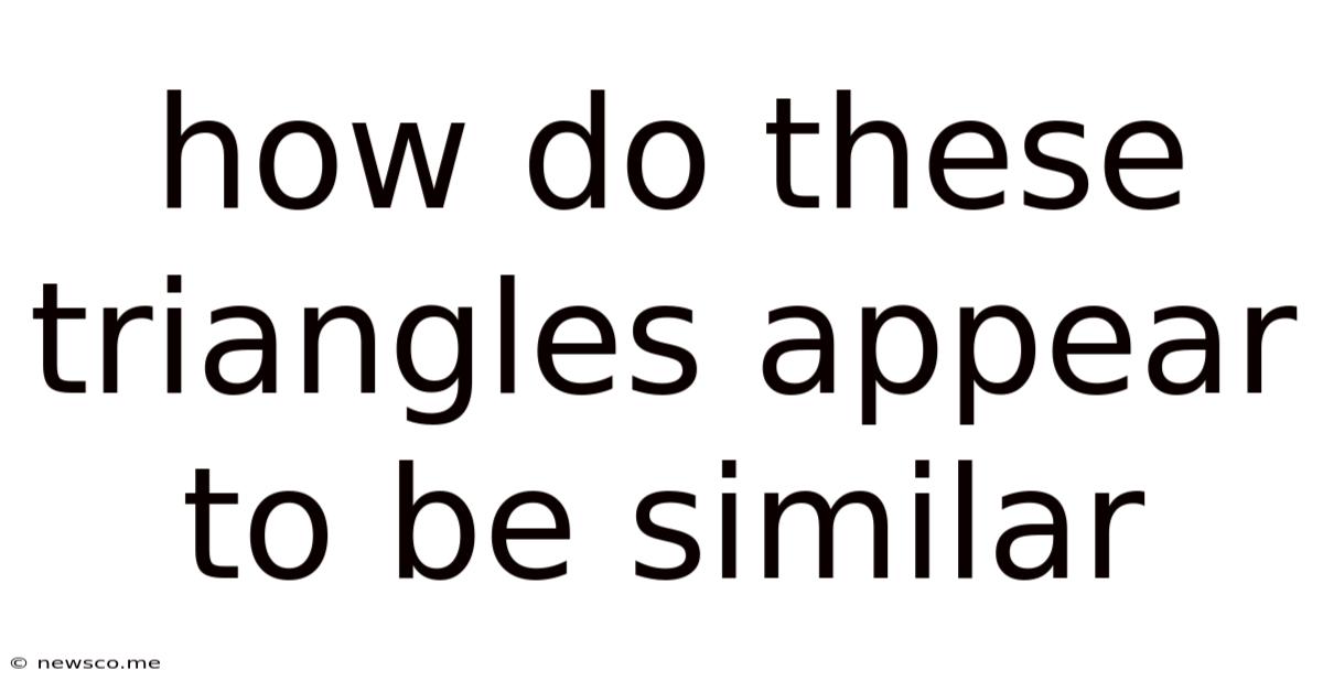 How Do These Triangles Appear To Be Similar