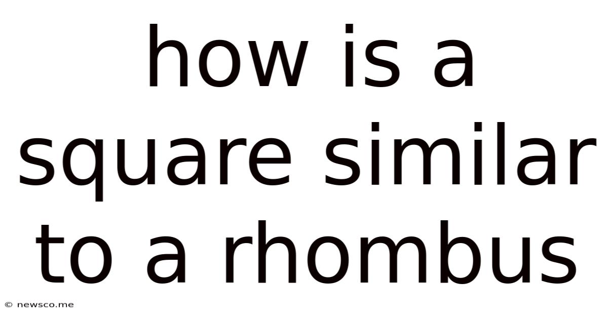 How Is A Square Similar To A Rhombus