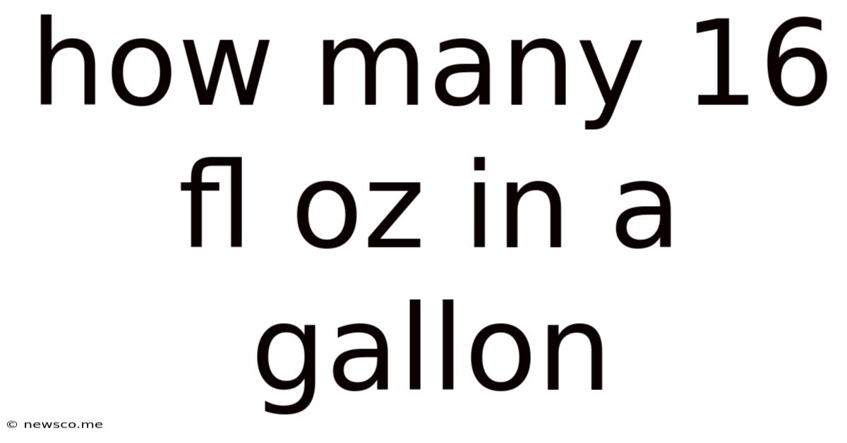 How Many 16 Fl Oz In A Gallon
