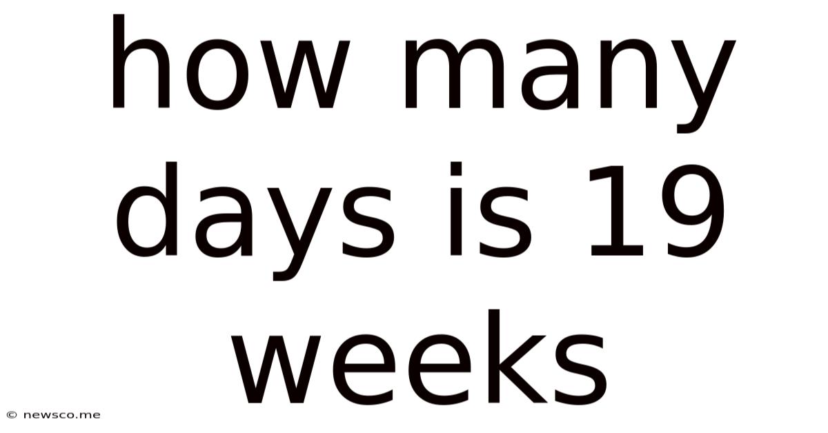 How Many Days Is 19 Weeks