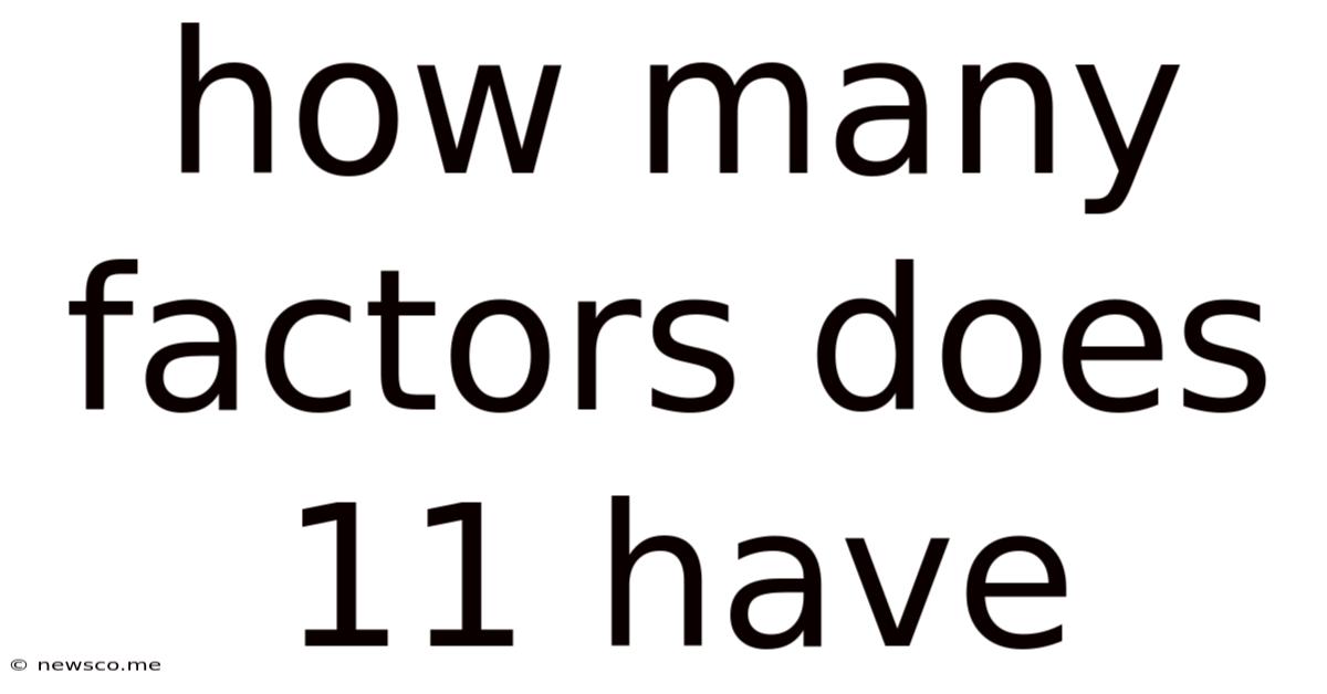 How Many Factors Does 11 Have