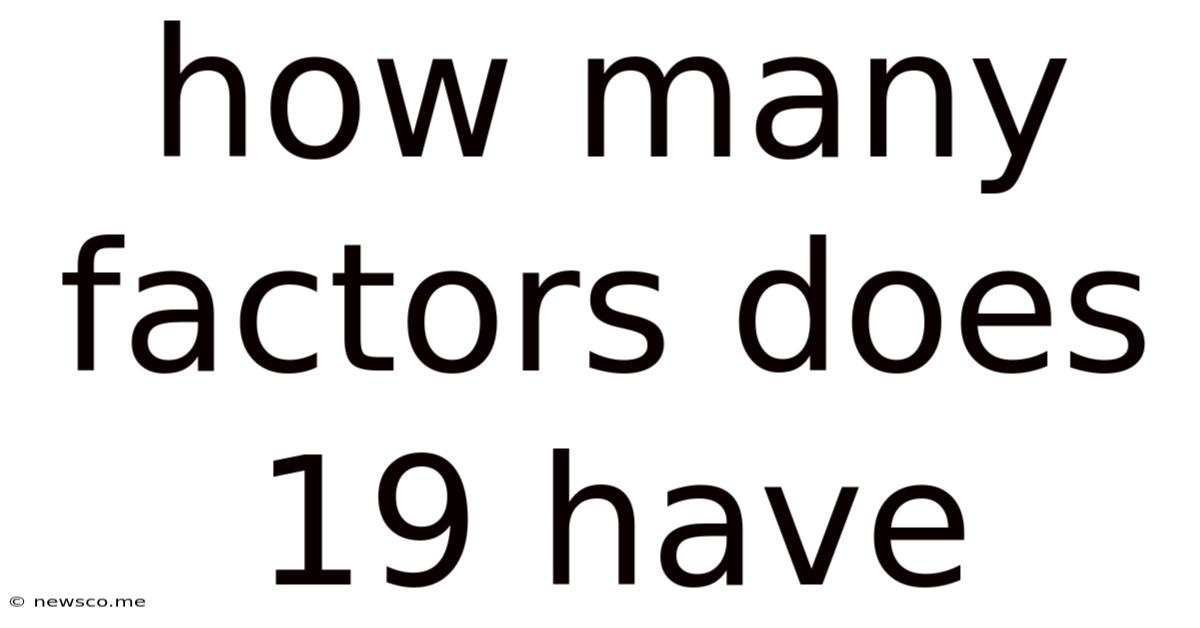 How Many Factors Does 19 Have