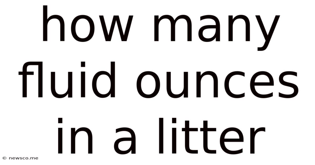 How Many Fluid Ounces In A Litter