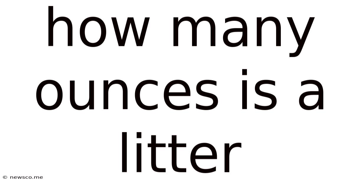 How Many Ounces Is A Litter