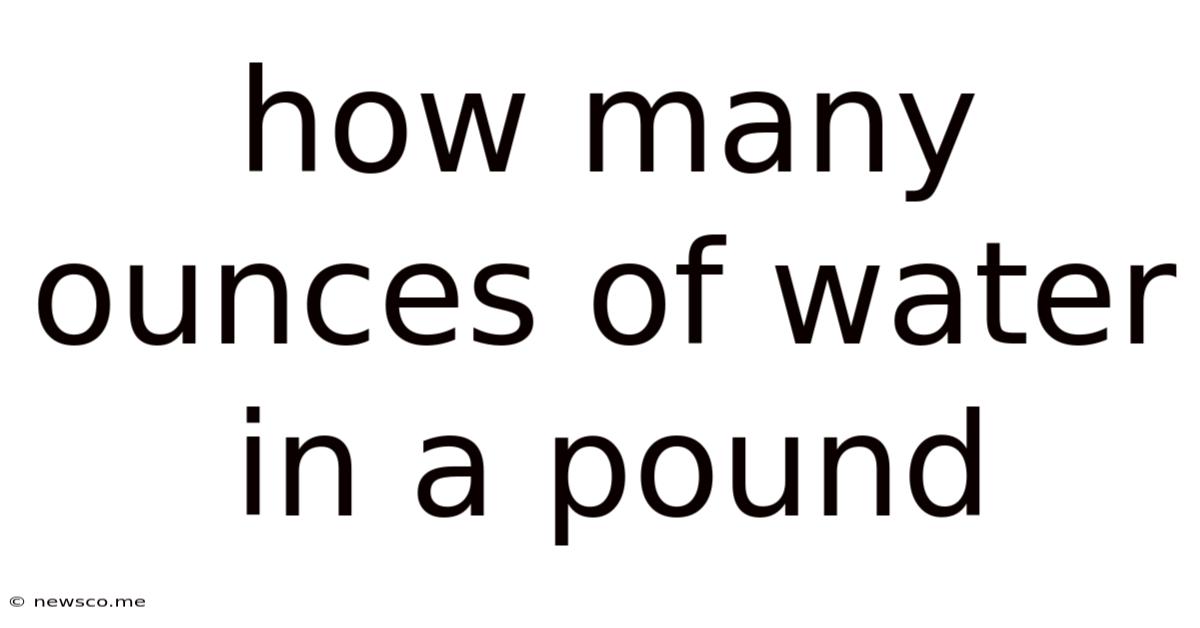 How Many Ounces Of Water In A Pound