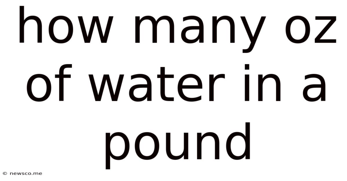 How Many Oz Of Water In A Pound