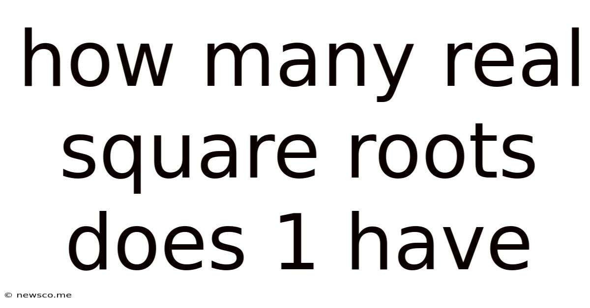 How Many Real Square Roots Does 1 Have