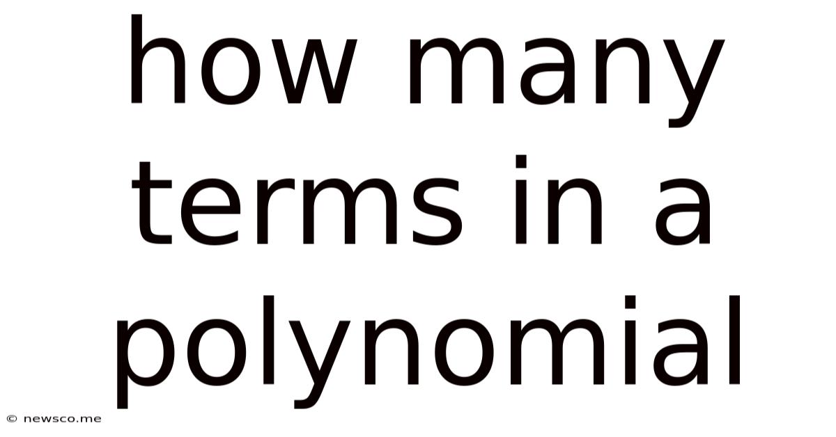 How Many Terms In A Polynomial