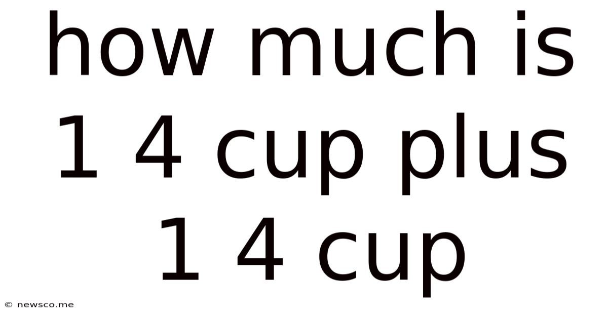 How Much Is 1 4 Cup Plus 1 4 Cup