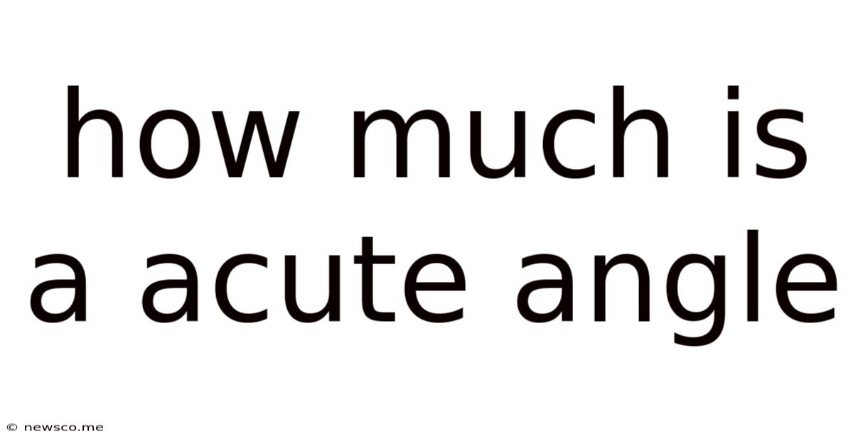 How Much Is A Acute Angle