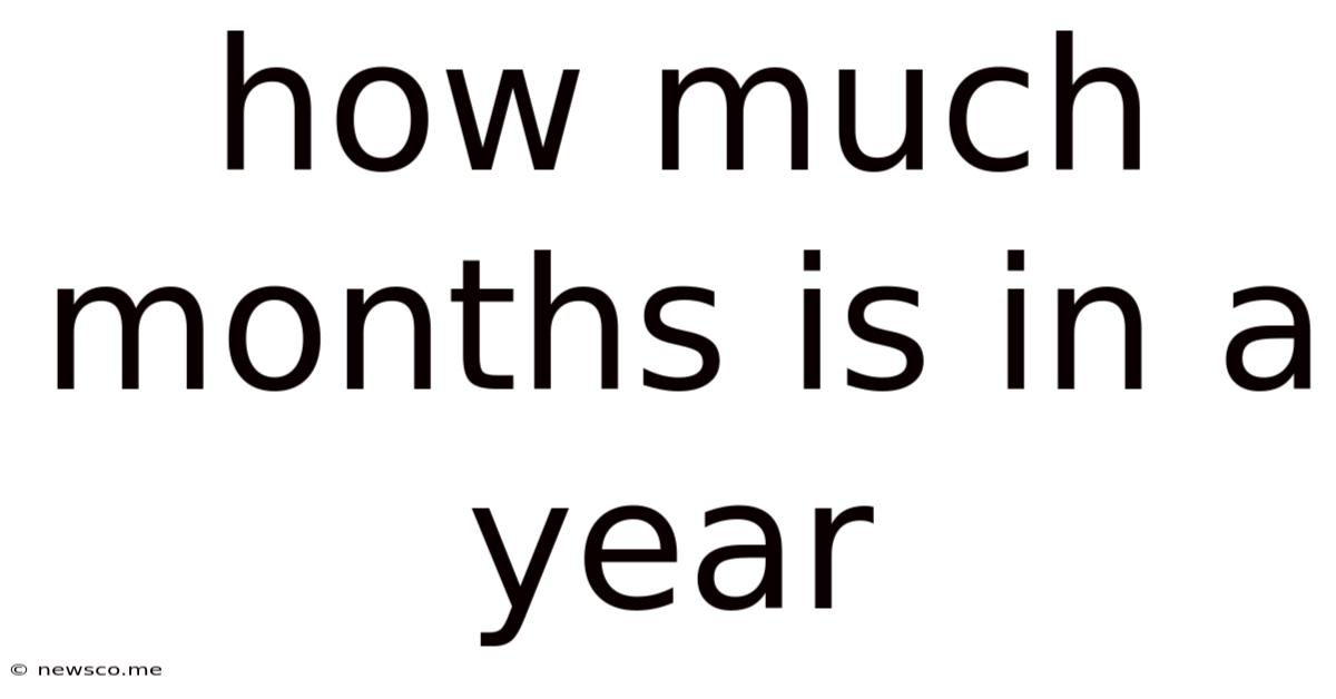 How Much Months Is In A Year