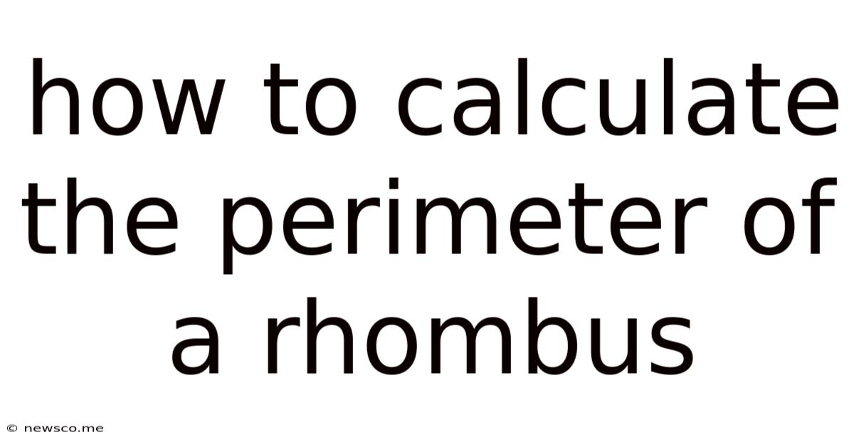 How To Calculate The Perimeter Of A Rhombus