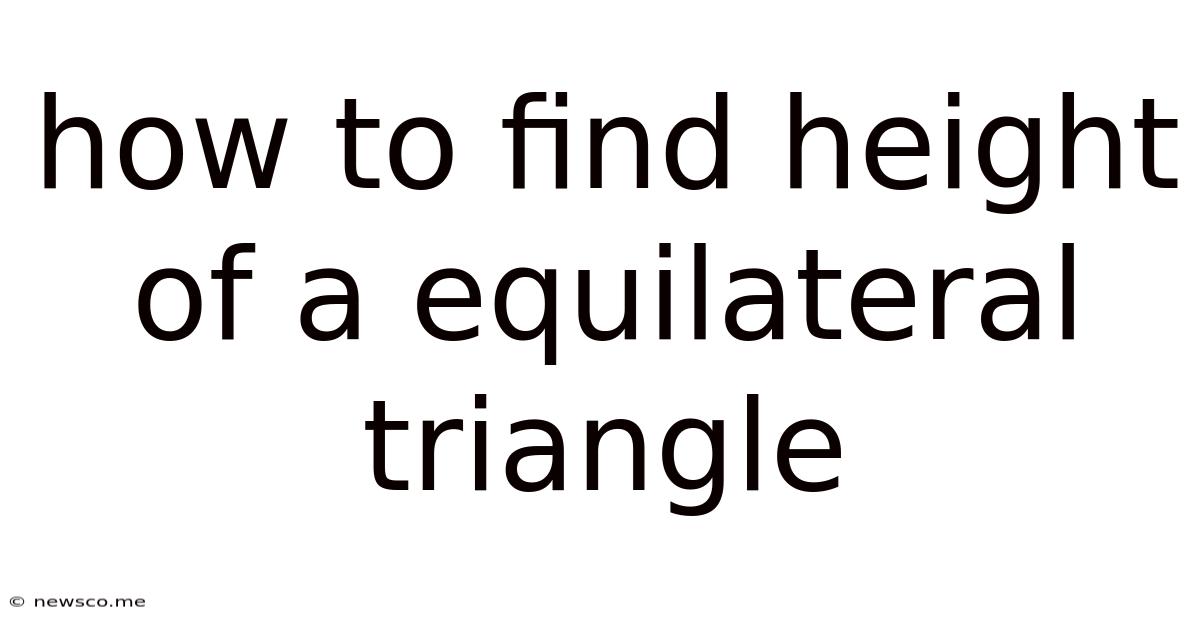 How To Find Height Of A Equilateral Triangle