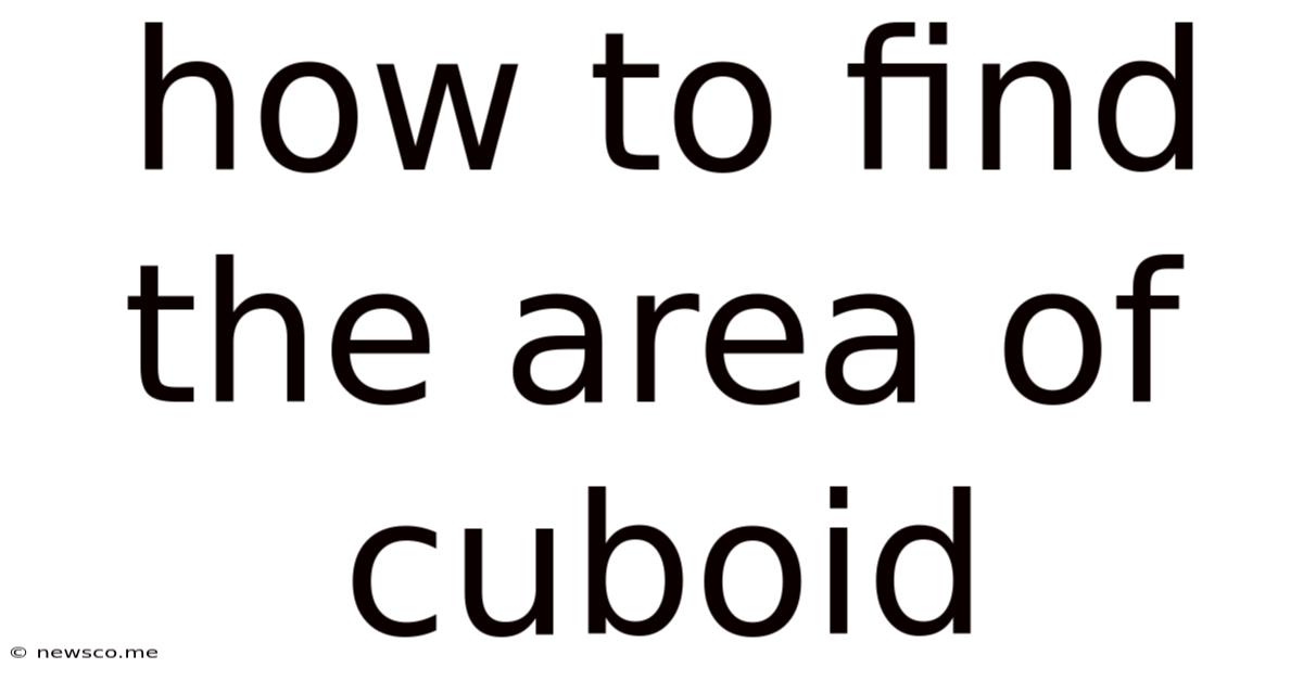 How To Find The Area Of Cuboid