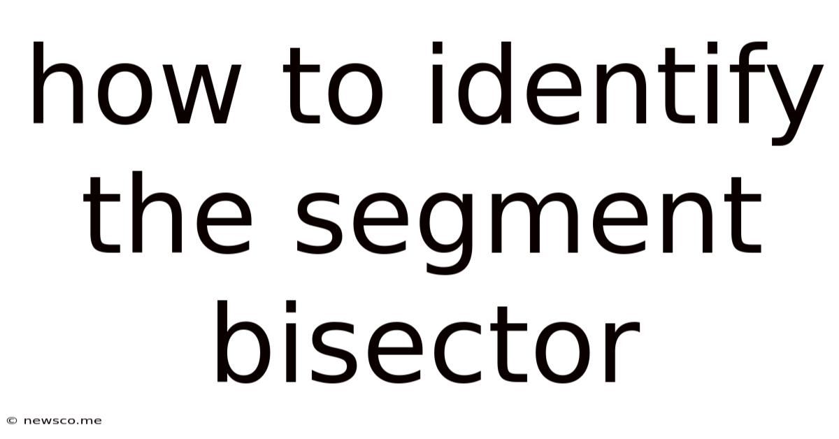 How To Identify The Segment Bisector