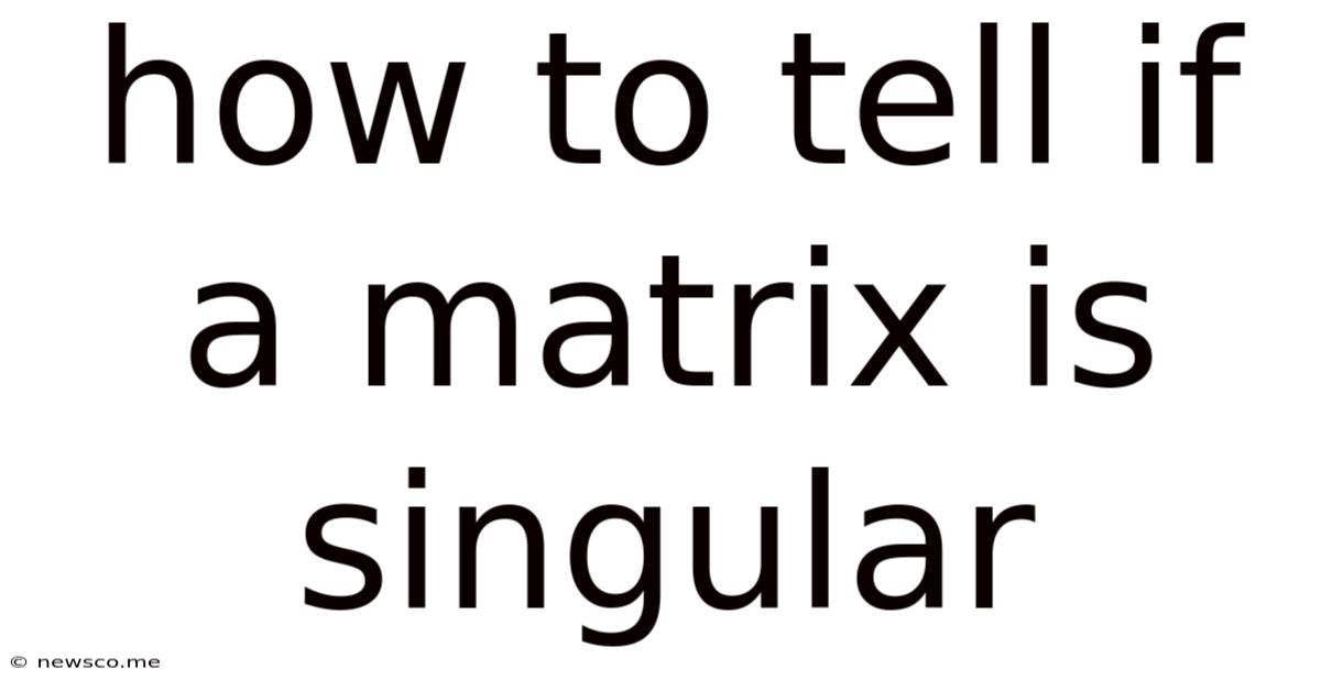 How To Tell If A Matrix Is Singular
