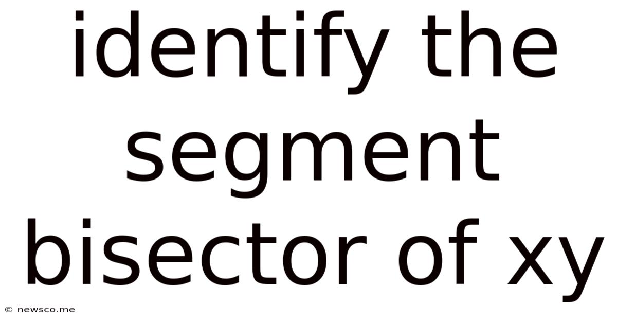 Identify The Segment Bisector Of Xy