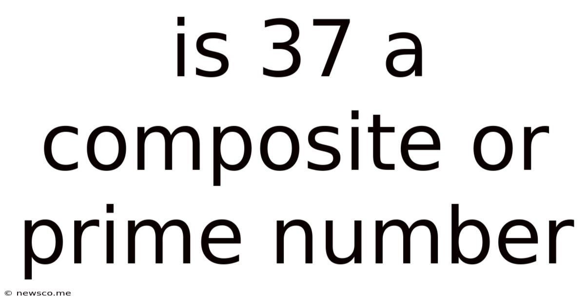 Is 37 A Composite Or Prime Number