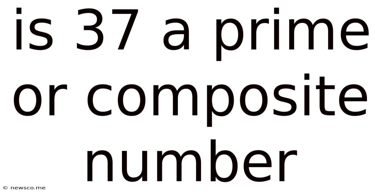 Is 37 A Prime Or Composite Number