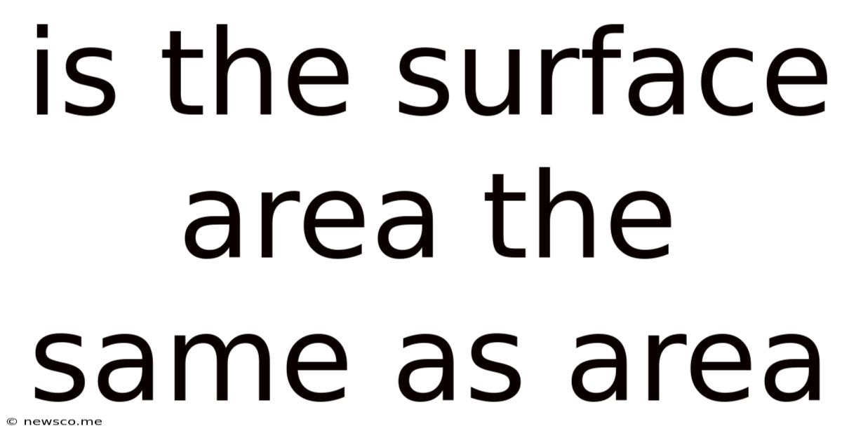 Is The Surface Area The Same As Area