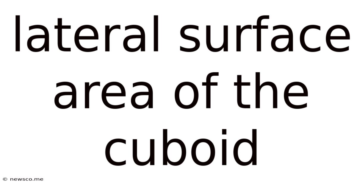 Lateral Surface Area Of The Cuboid
