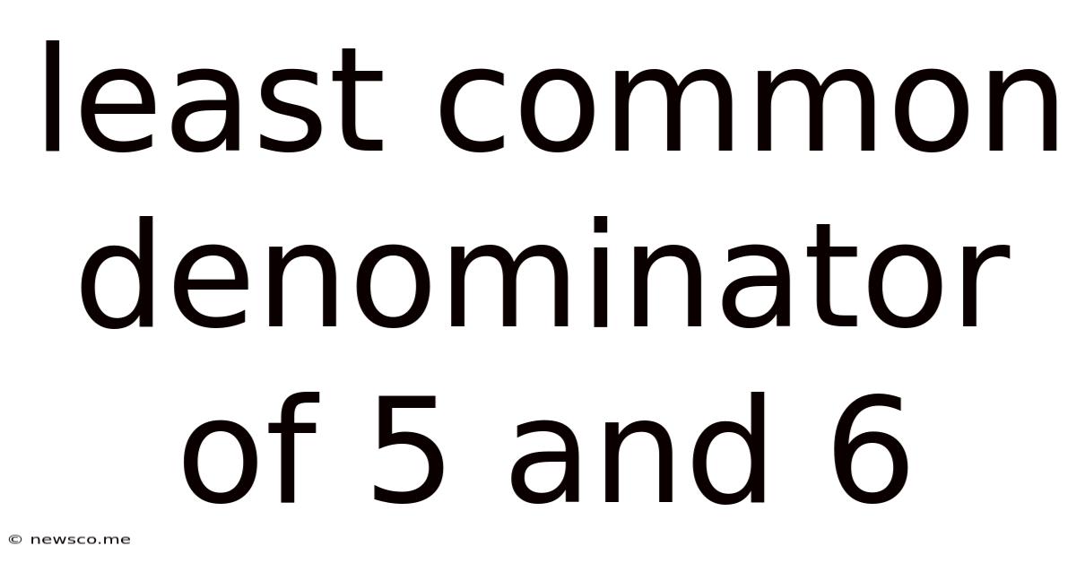 Least Common Denominator Of 5 And 6