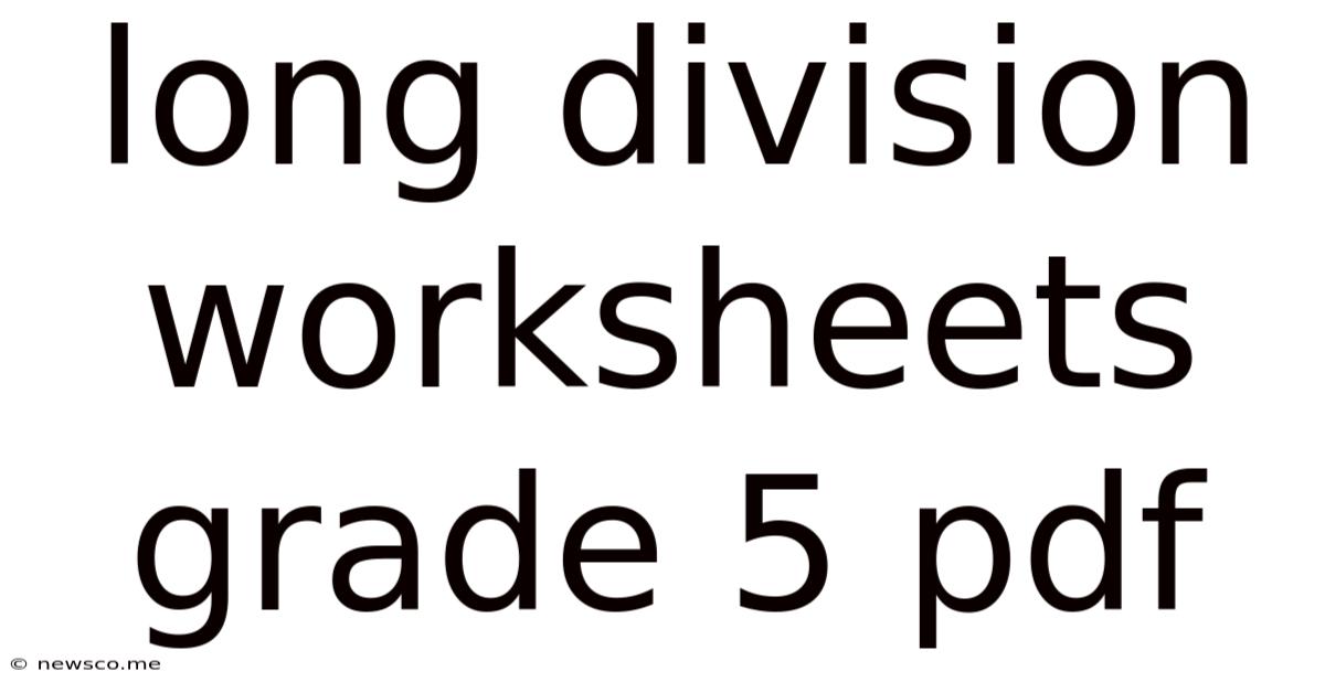 Long Division Worksheets Grade 5 Pdf