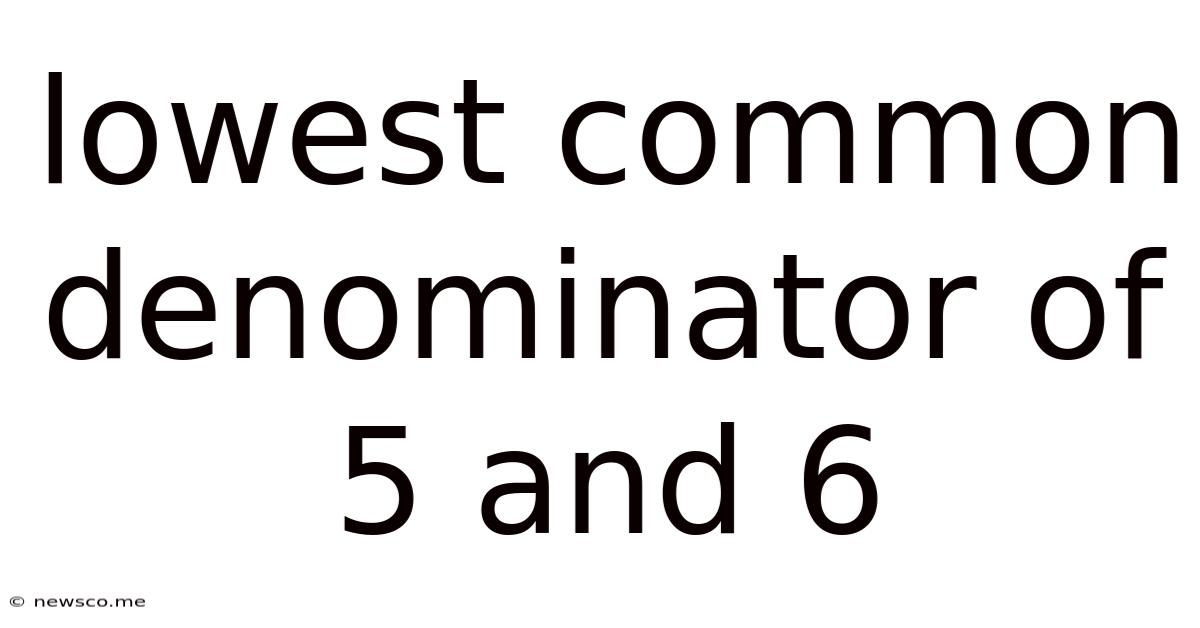 Lowest Common Denominator Of 5 And 6