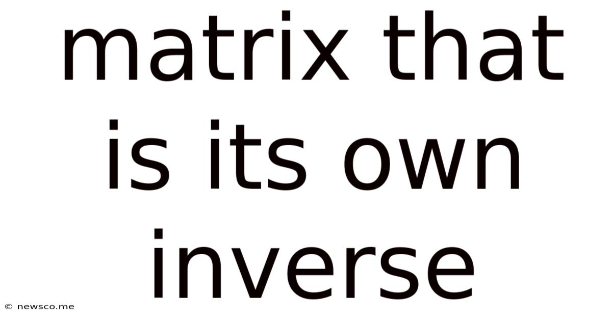 Matrix That Is Its Own Inverse