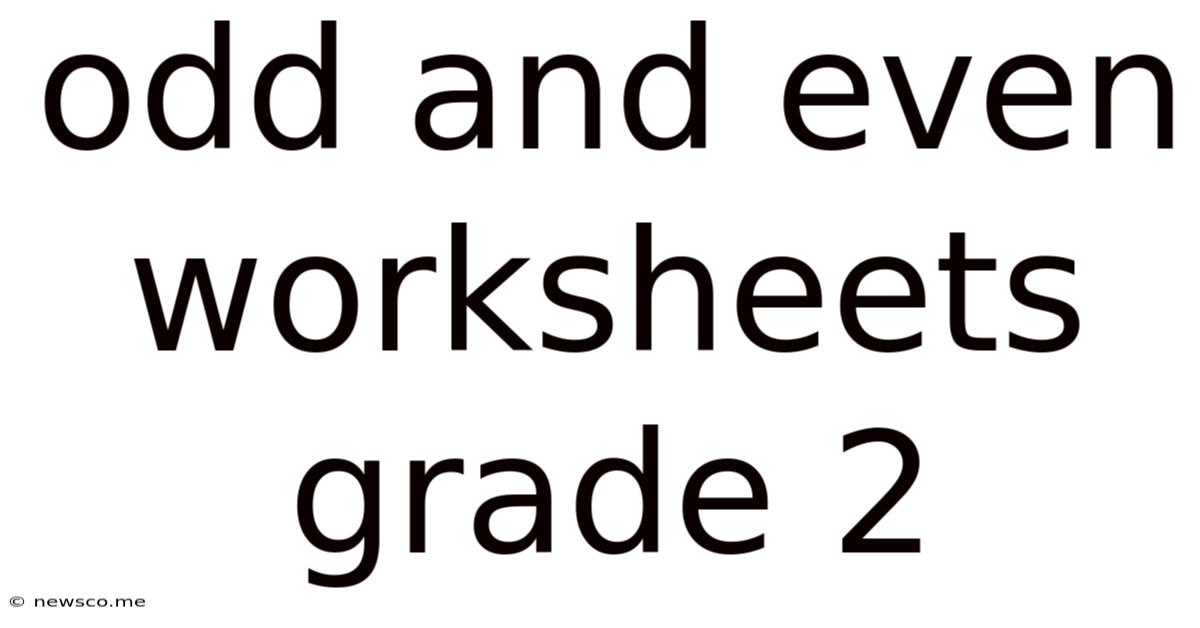 Odd And Even Worksheets Grade 2