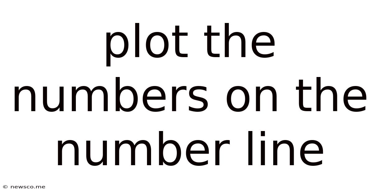 Plot The Numbers On The Number Line