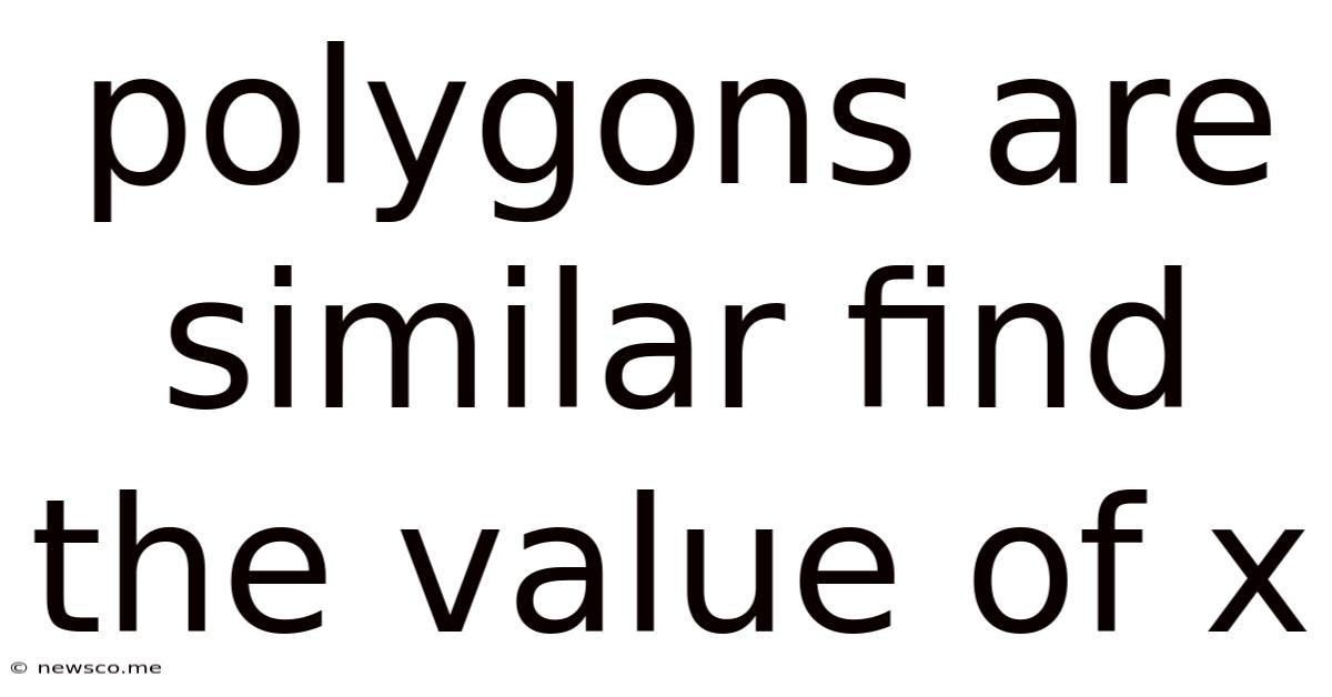 Polygons Are Similar Find The Value Of X