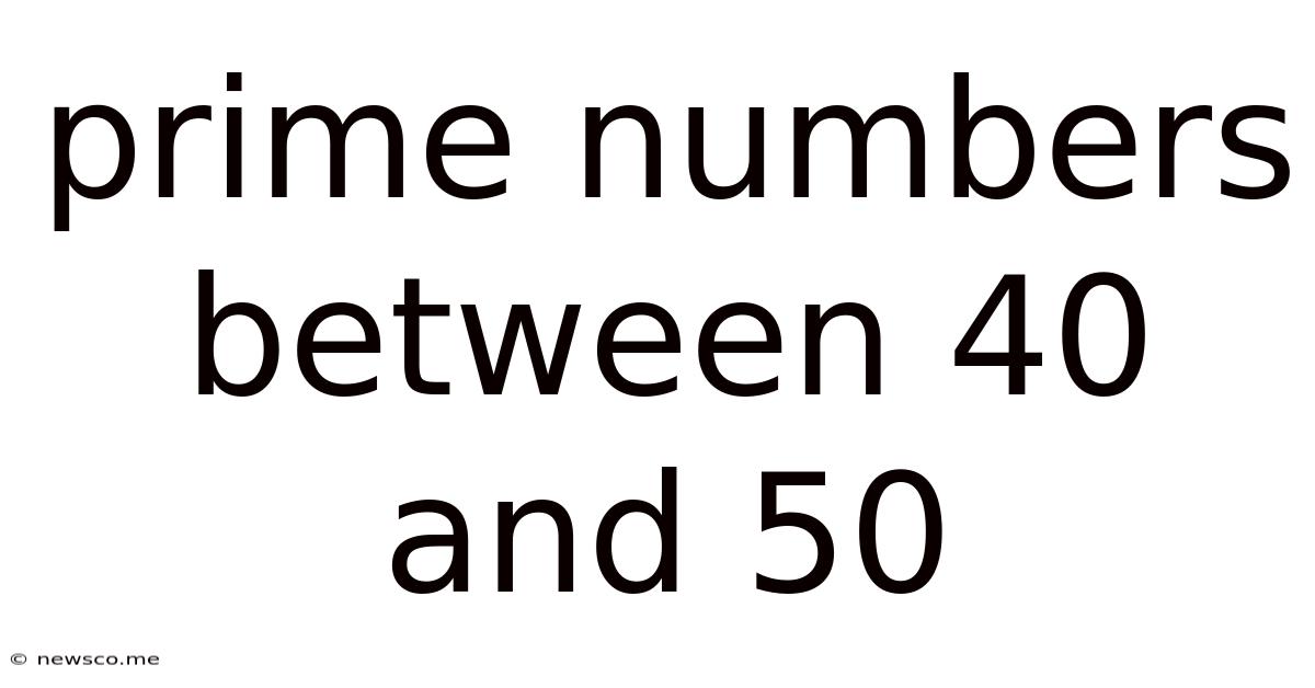 Prime Numbers Between 40 And 50