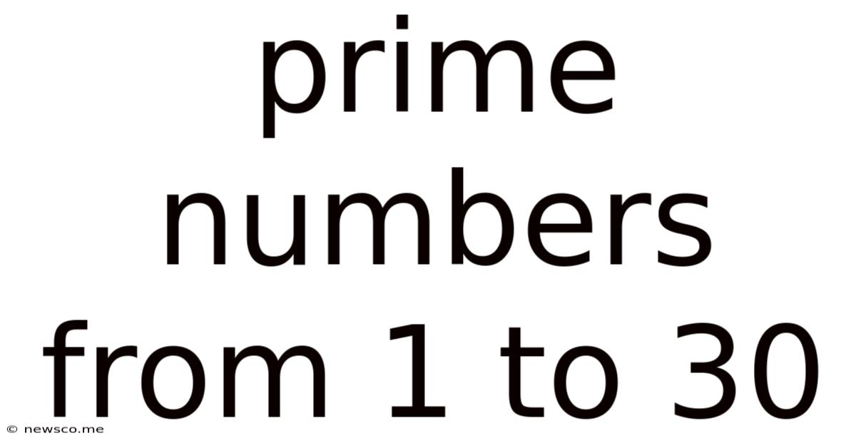 Prime Numbers From 1 To 30