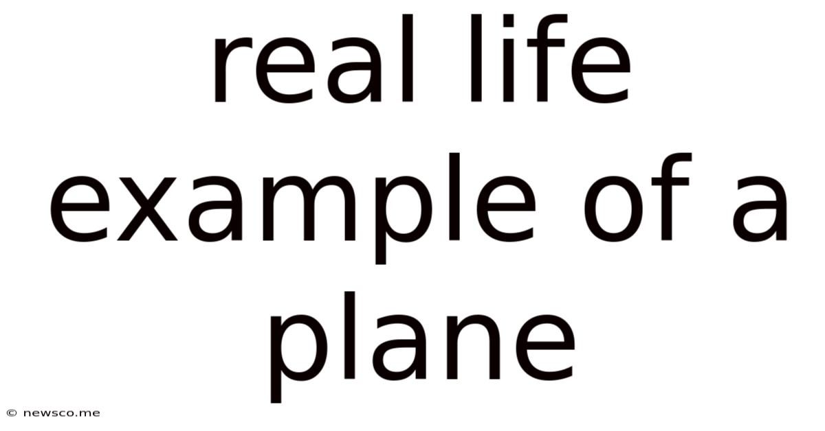 Real Life Example Of A Plane