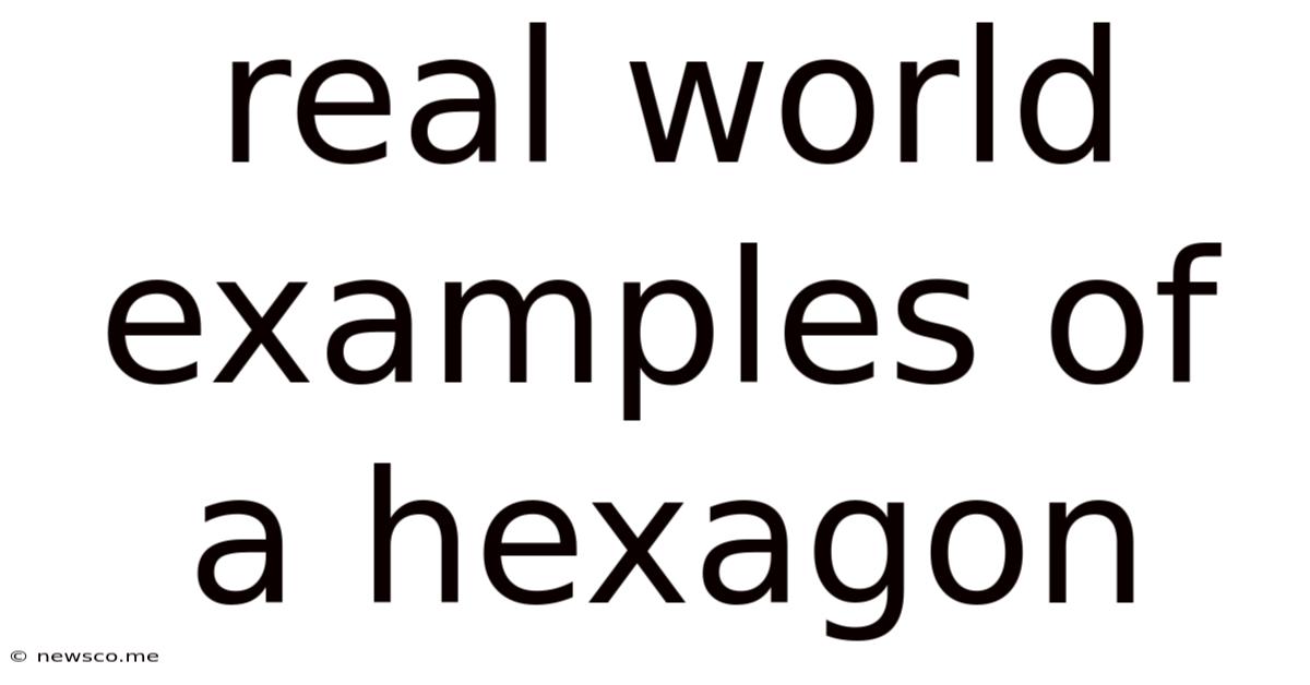 Real World Examples Of A Hexagon