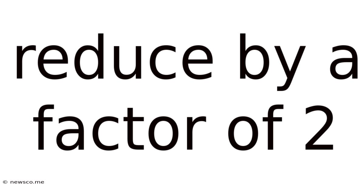 Reduce By A Factor Of 2