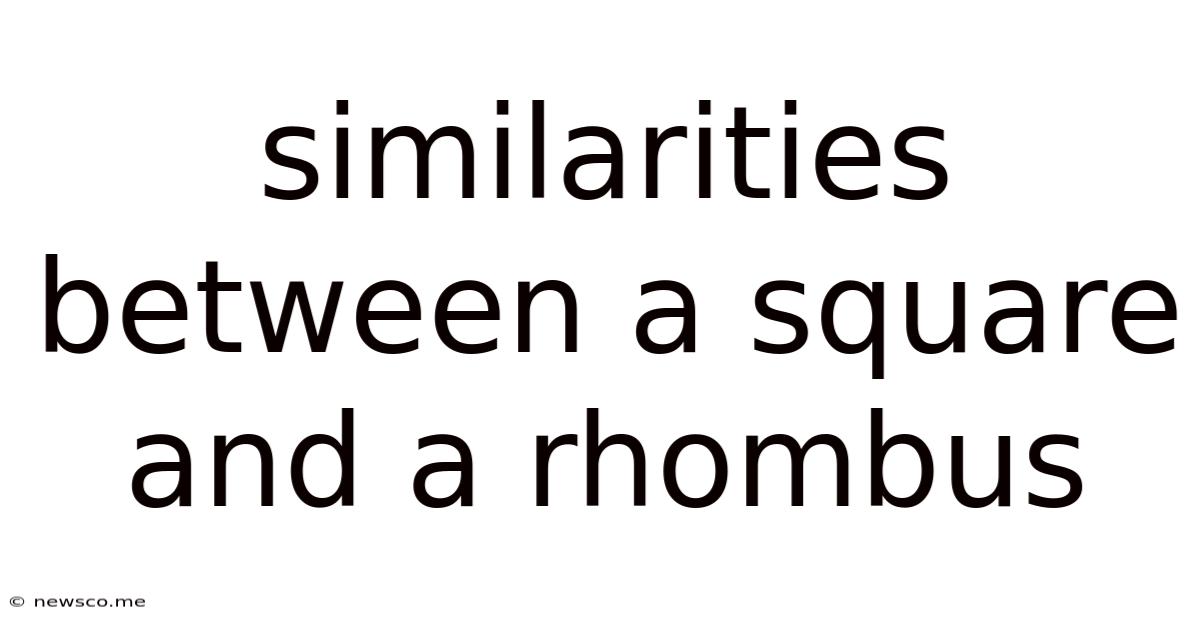 Similarities Between A Square And A Rhombus
