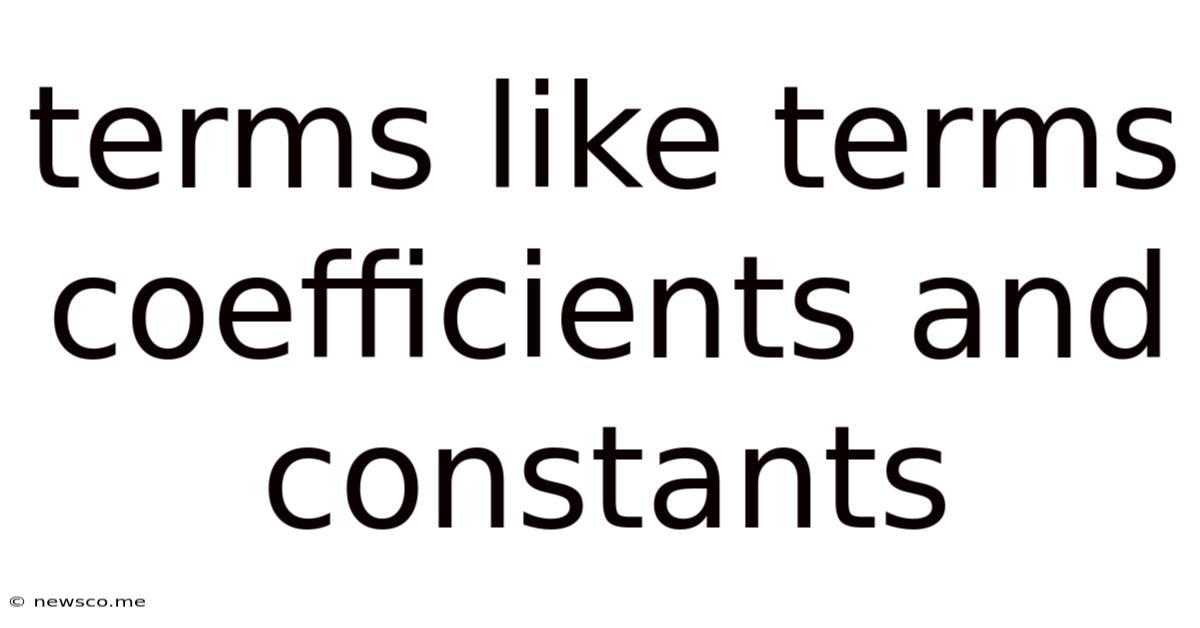Terms Like Terms Coefficients And Constants