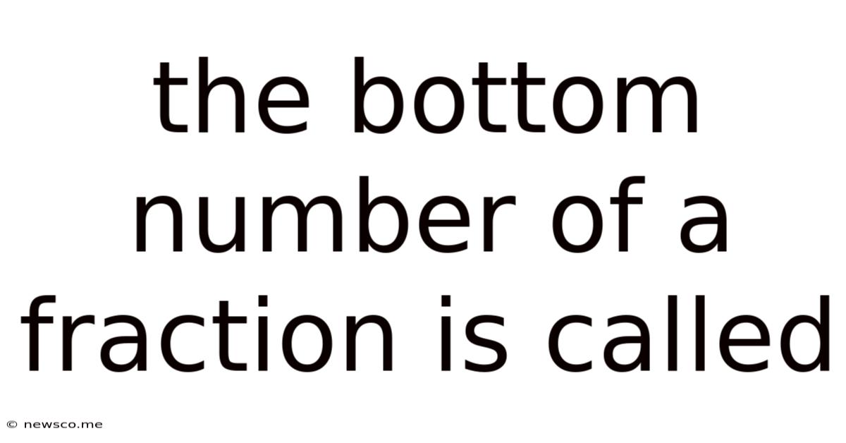 The Bottom Number Of A Fraction Is Called