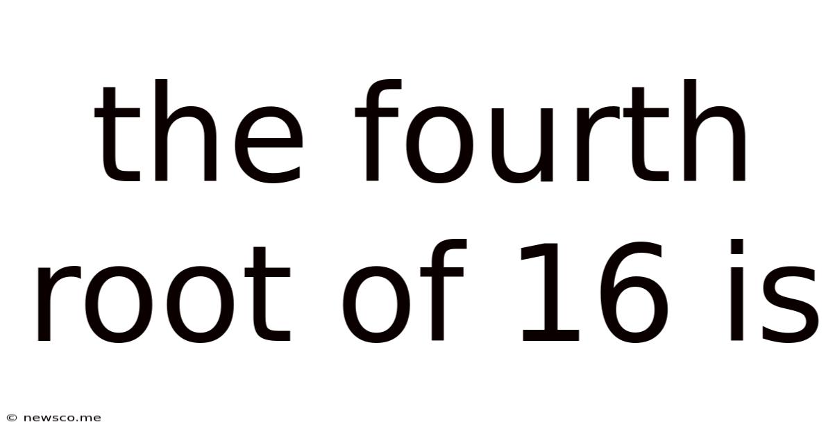 The Fourth Root Of 16 Is