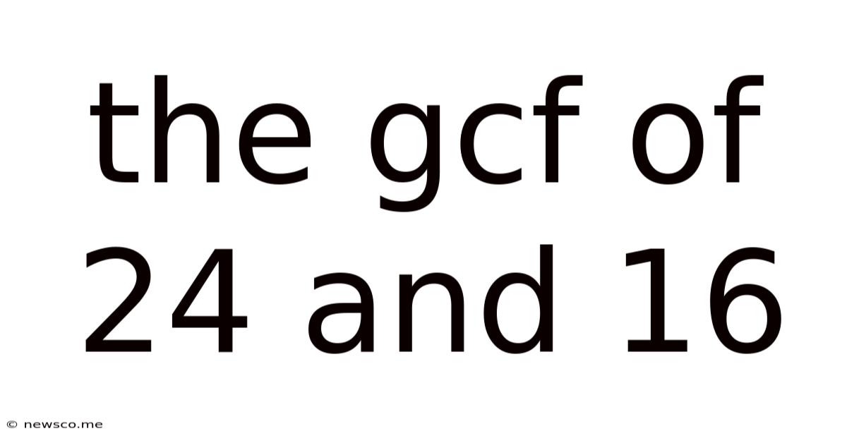 The Gcf Of 24 And 16