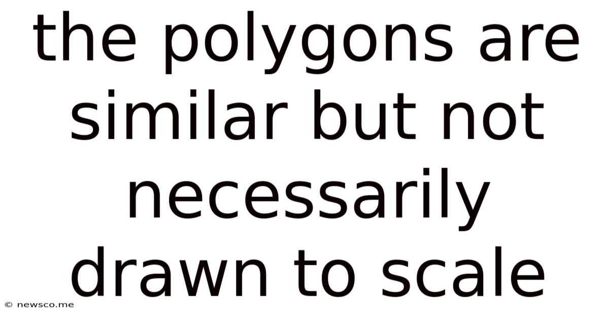 The Polygons Are Similar But Not Necessarily Drawn To Scale