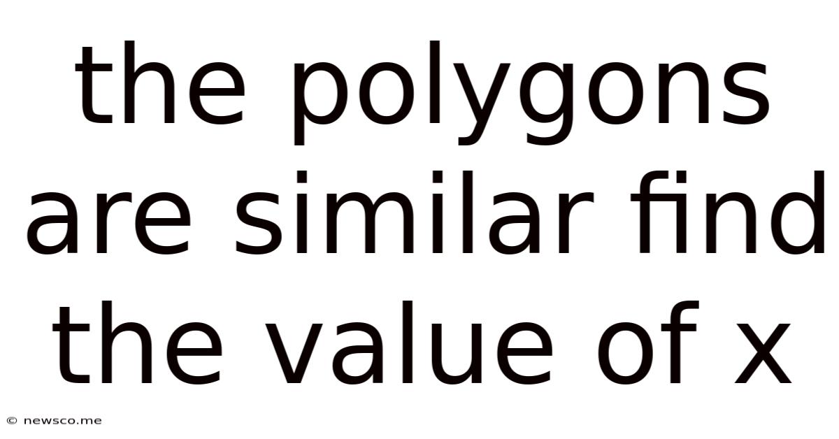 The Polygons Are Similar Find The Value Of X