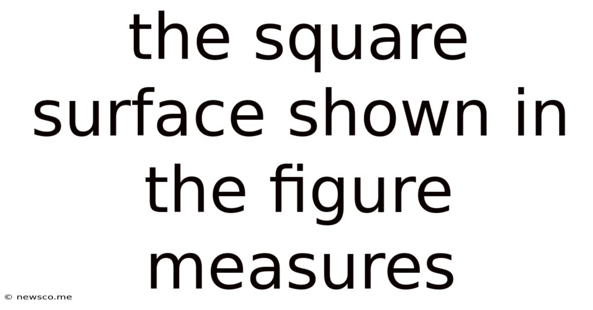 The Square Surface Shown In The Figure Measures